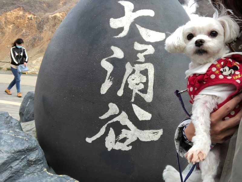 「大涌谷」へおでかけ！愛犬と箱根旅行！